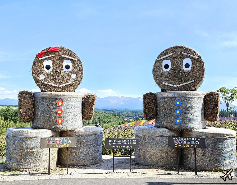2026北海道旅遊 四季彩之丘 夏季花毯 北海道租車 自駕 北海道景點