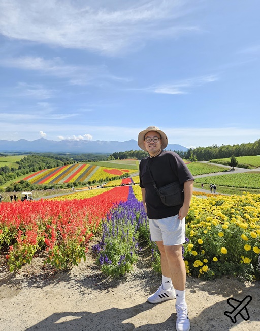2026北海道旅遊 四季彩之丘 夏季花毯 北海道租車 自駕 北海道景點