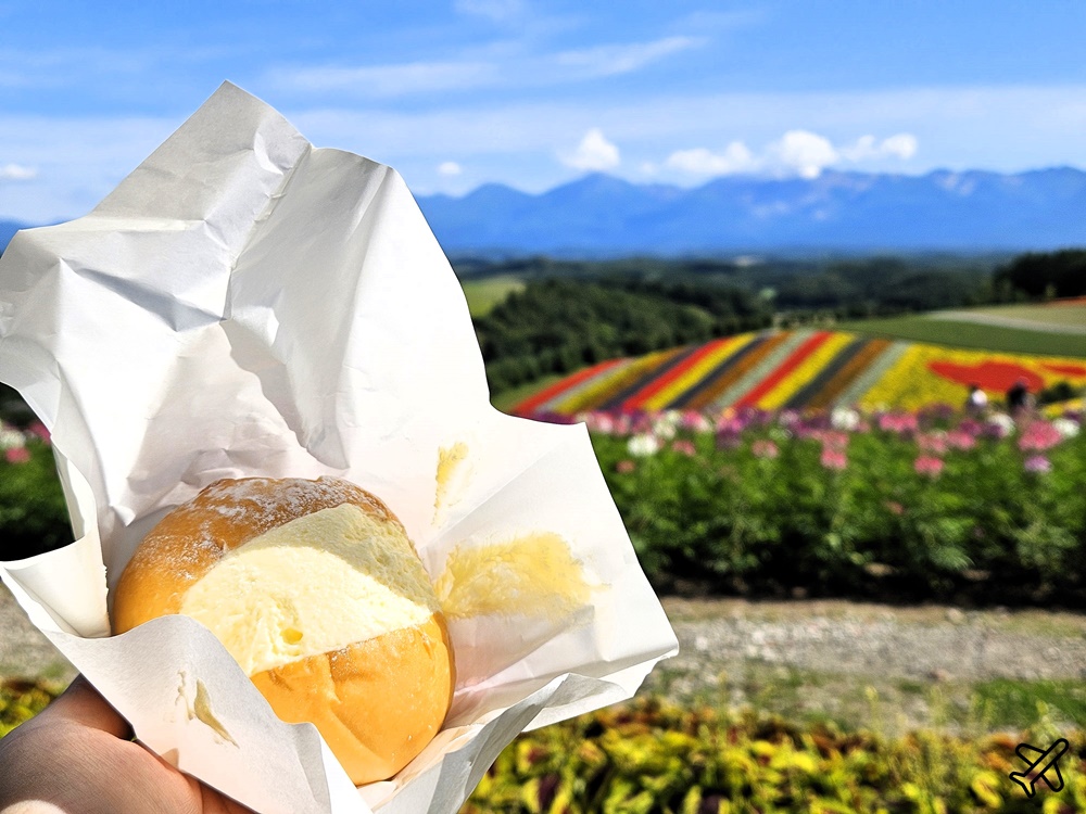 2026北海道旅遊 四季彩之丘 夏季花毯 北海道租車 自駕 北海道景點
