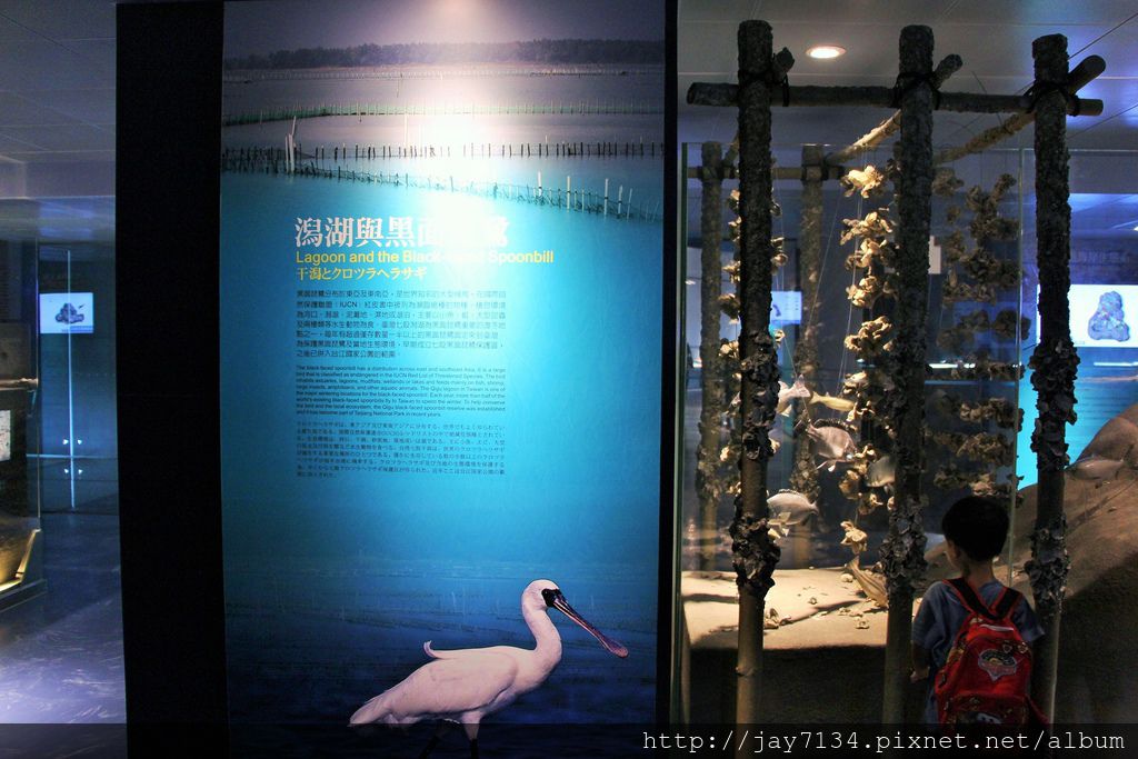 IMG_3979.JPG IMG_3979.JPG