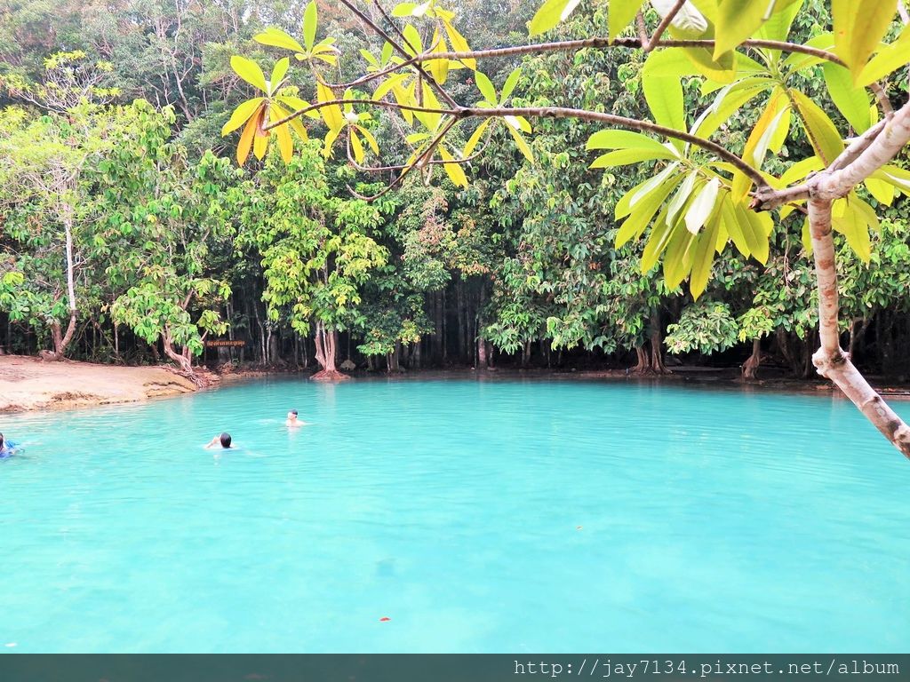 泰國旅遊 喀比景點 翡翠池、藍湖 Emerald Pool 帕邦匡山野生保育區內的秘境景點 @AJ的旅行地圖