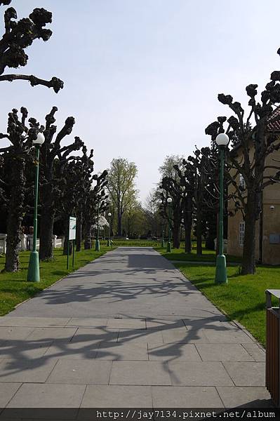 P1140656.JPG
