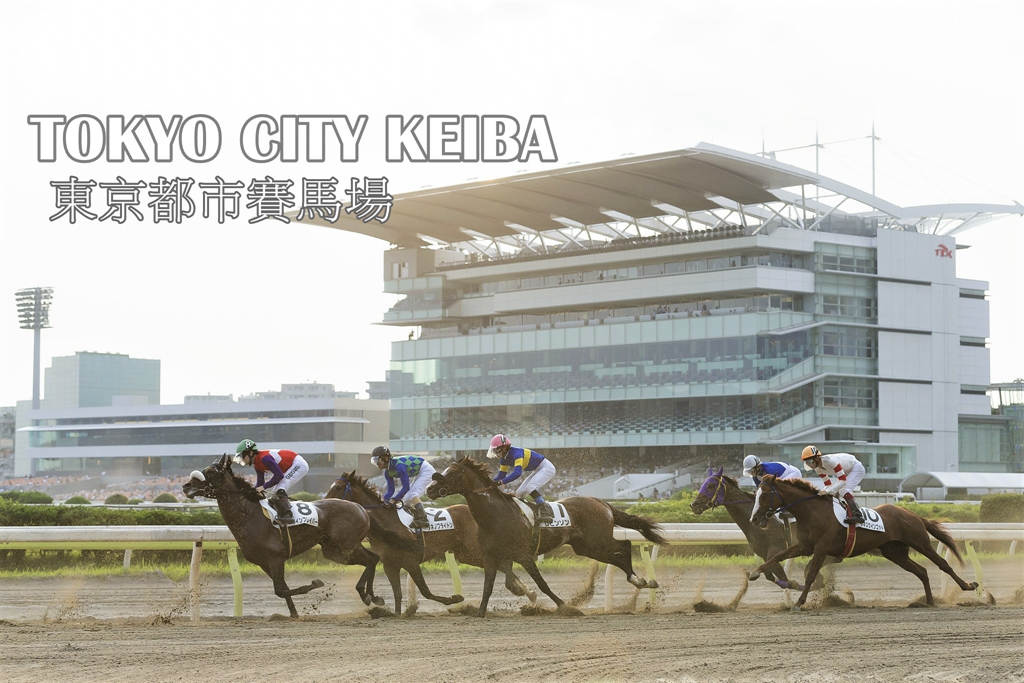 東京景點 東京都市賽馬場 / 大井賽馬場 不只賭馬 還有燈光秀、免費搭馬車、美食街 東京自由行 @AJ的旅行地圖