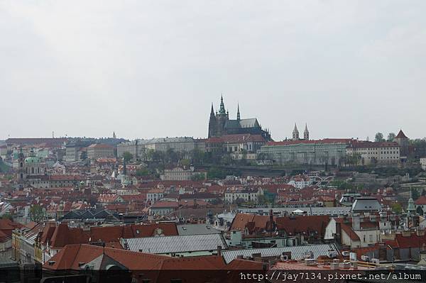P1140416 P1140416