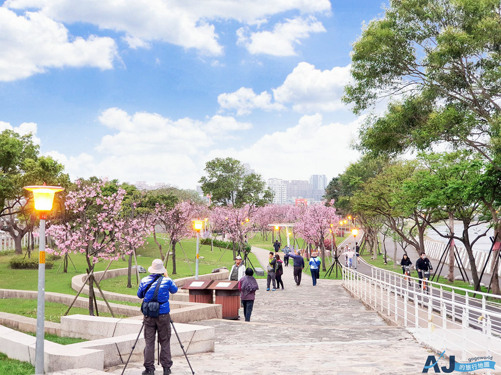 2026桃園景點 桃園櫻花 檜溪(會稽)河濱公園 上百棵富士櫻 每年2月中~3月綻放 @AJ的旅行地圖