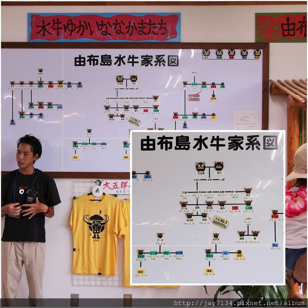 page4.jpg page4.jpg