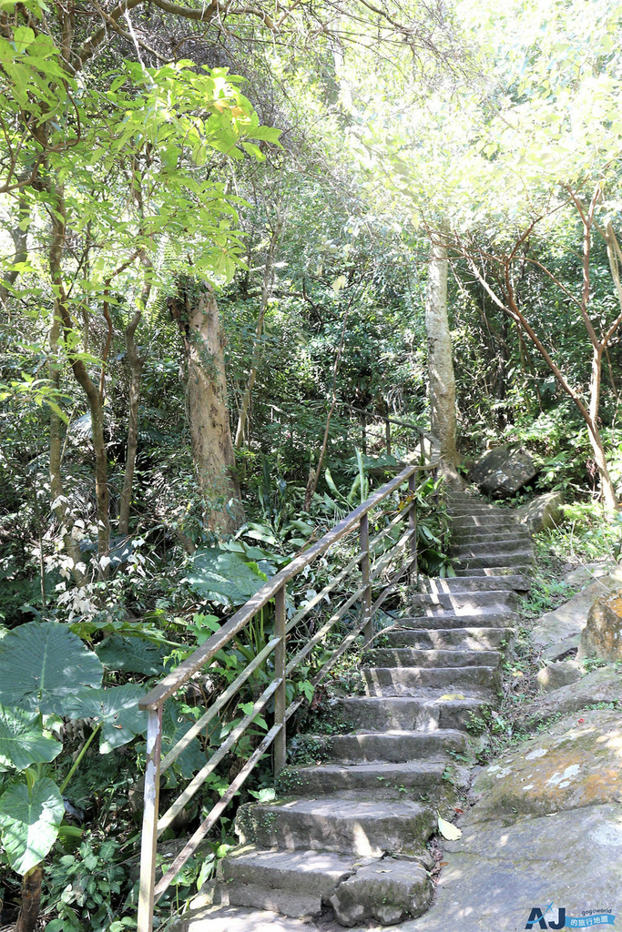 155.JPG
