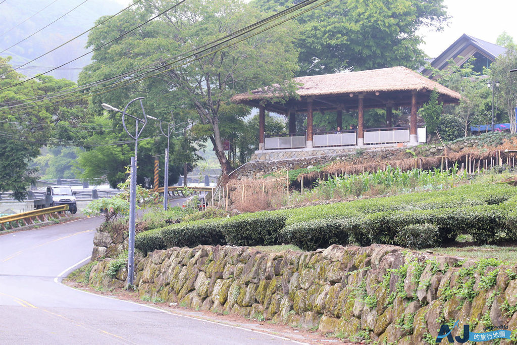 即時熱門文章：2026阿里山景點 鄒築園 阿里山最厲害的精品咖啡在這裡 咖啡王子與他的藝妓咖啡豆