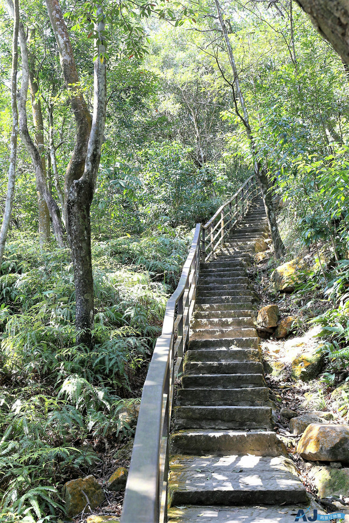 160.JPG