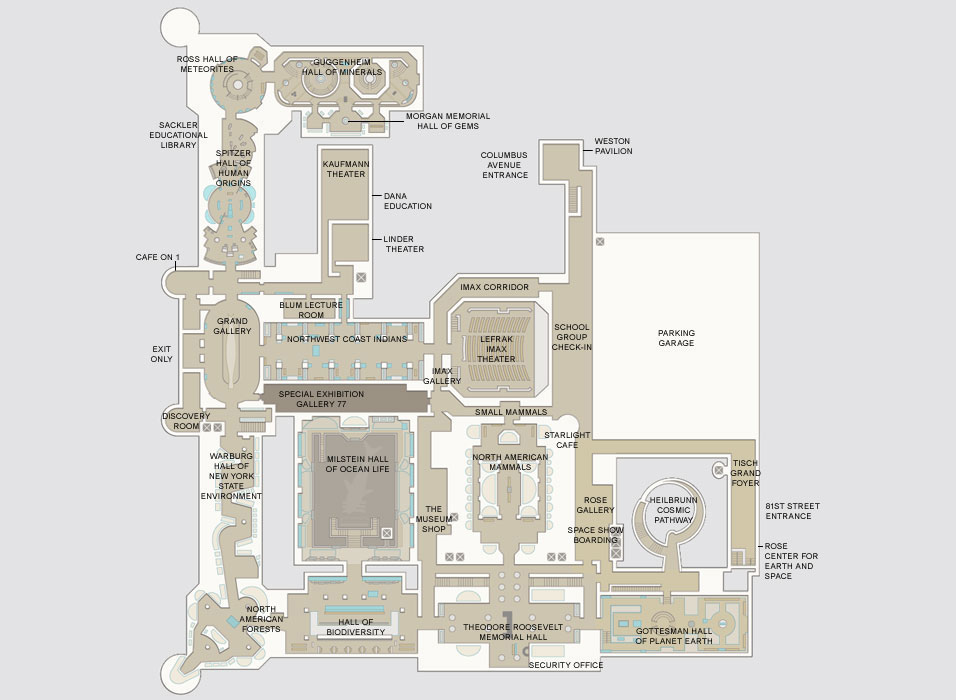 floor-1st-level.jpg floor-1st-level.jpg