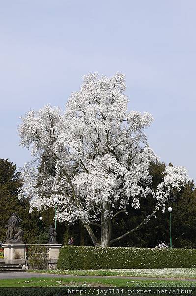 P1140664.JPG