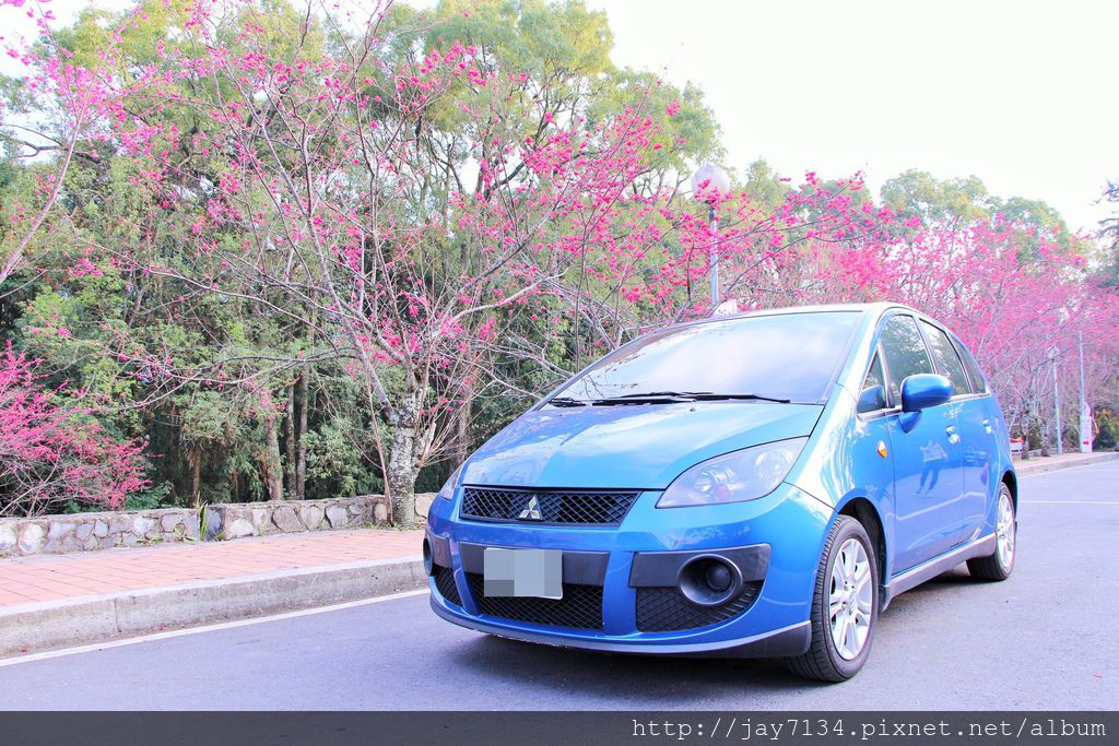 已歇業 台中便宜租汽車推薦：中興租車 泰雅渡假村>武嶺>清境農場賞櫻花 @AJ的旅行地圖