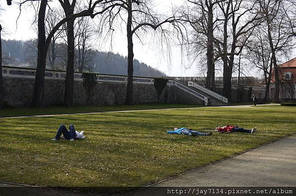 P1130827 P1130827