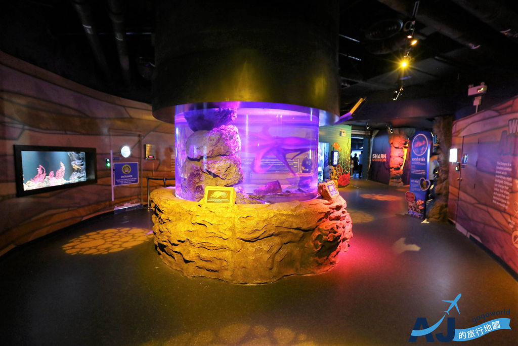 IMG_3682.JPG