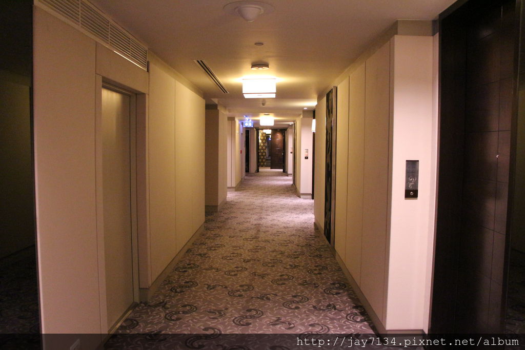 IMG_2532.JPG IMG_2532.JPG