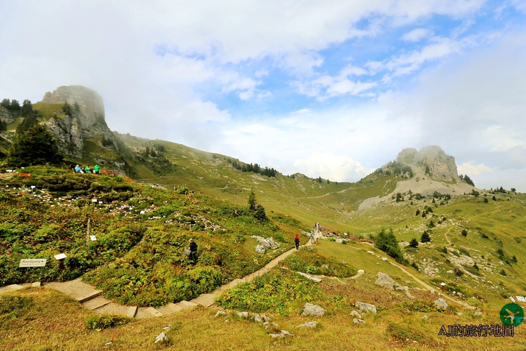 瑞士旅遊 徐尼格觀景台 Schynige Platte 搭齒軌火車前往徐尼格高山車站、高山花園Alpine Garden健行 @AJ的旅行地圖