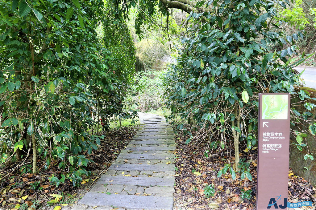 215.JPG 215.JPG