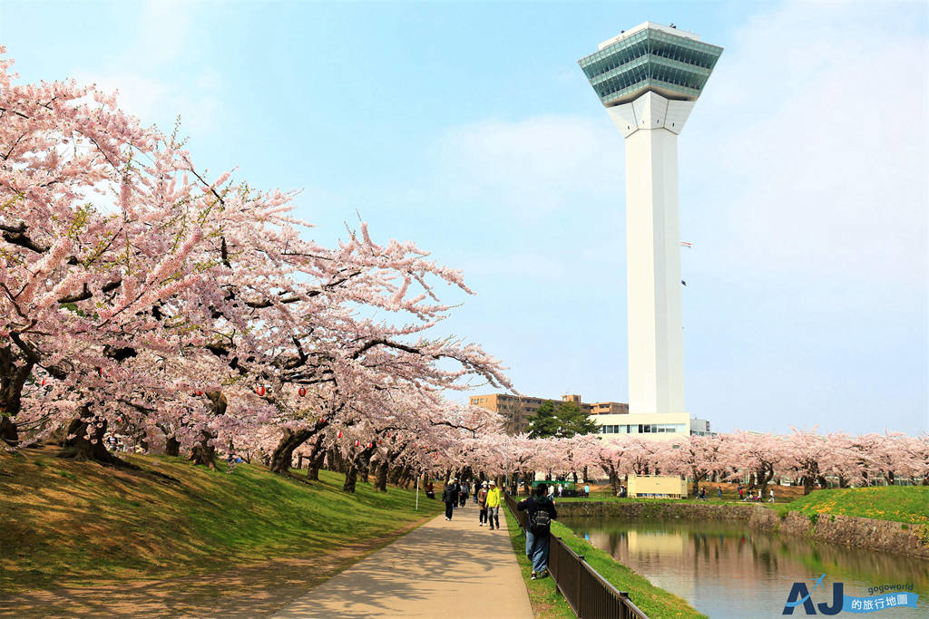 2026北海道旅遊 函館景點 五稜郭公園與五稜郭塔 坐在櫻花樹下野餐 @AJ的旅行地圖