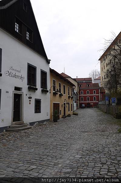 P1130998 P1130998