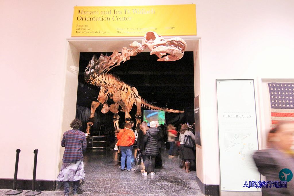 IMG_3250.JPG IMG_3250.JPG