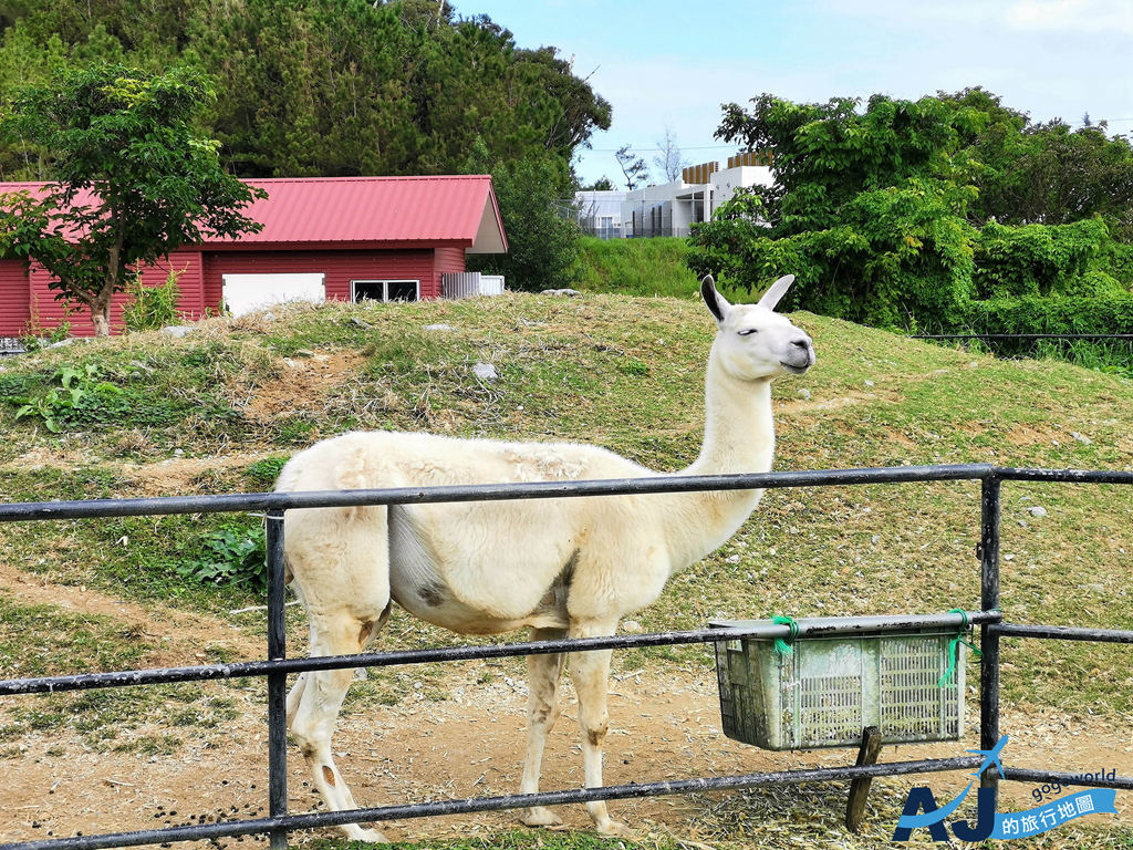 2026沖繩景點 名護自然動植物公園 Neo Park 與動物們沒有距離 沖繩自由行推薦 @AJ的旅行地圖