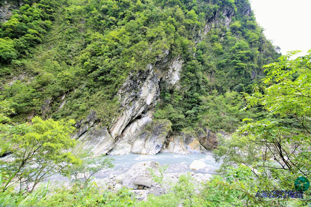 IMG_2343.JPG