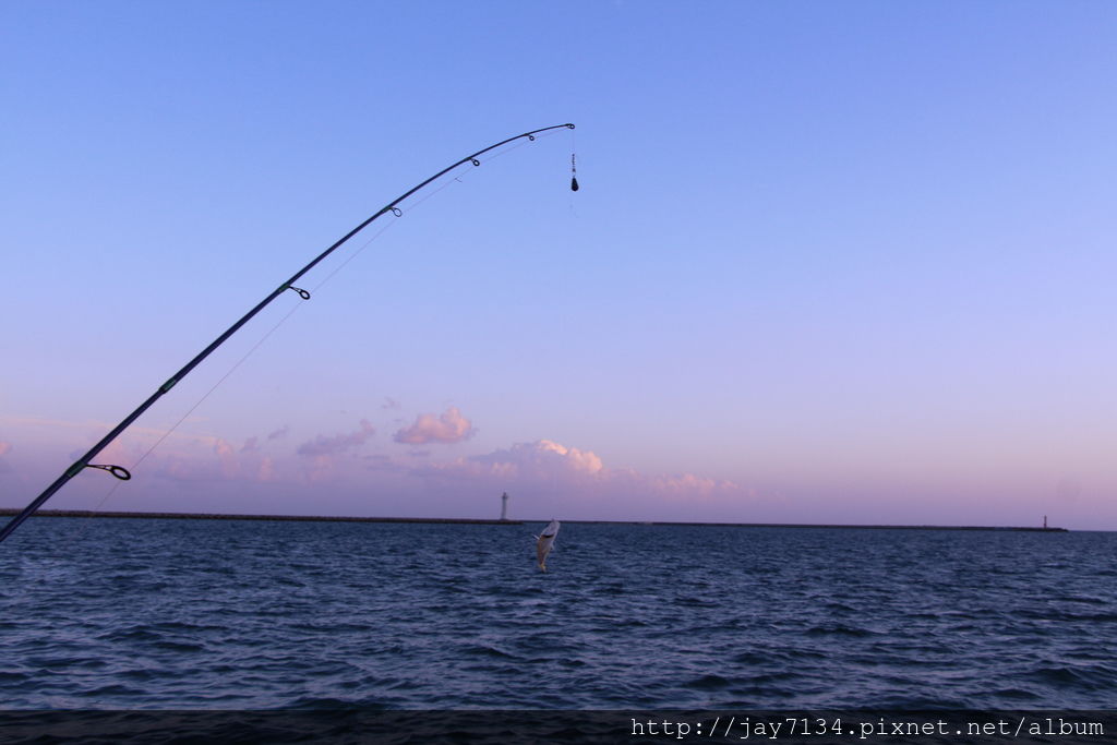 IMG_5543.JPG