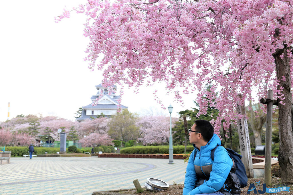 日本滋賀景點 豐公園長濱城 滋賀縣賞櫻名勝 日本櫻名所100選 可與海津大崎一起玩 近長浜車站 @AJ的旅行地圖