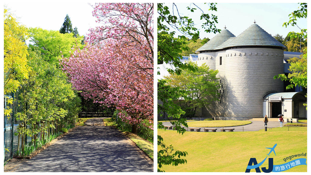 東京景點 DIC川村紀念美術館 千葉縣佐倉市人氣美術館/賞櫻庭院 東京自由行推薦 @AJ的旅行地圖