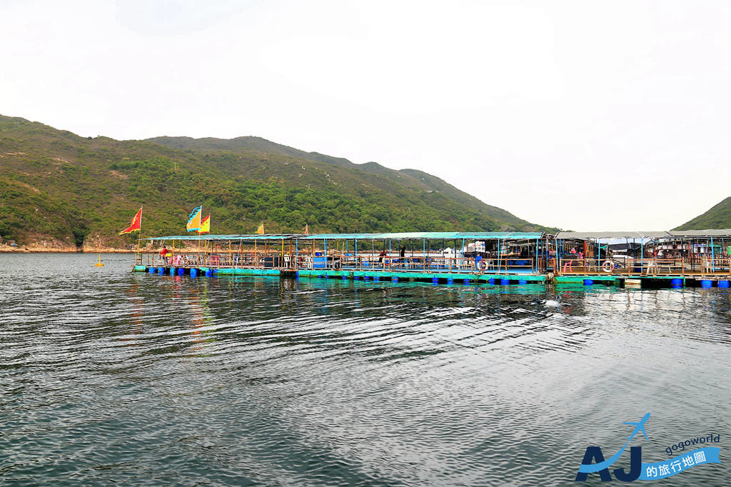 IMG_7526.JPG IMG_7526.JPG