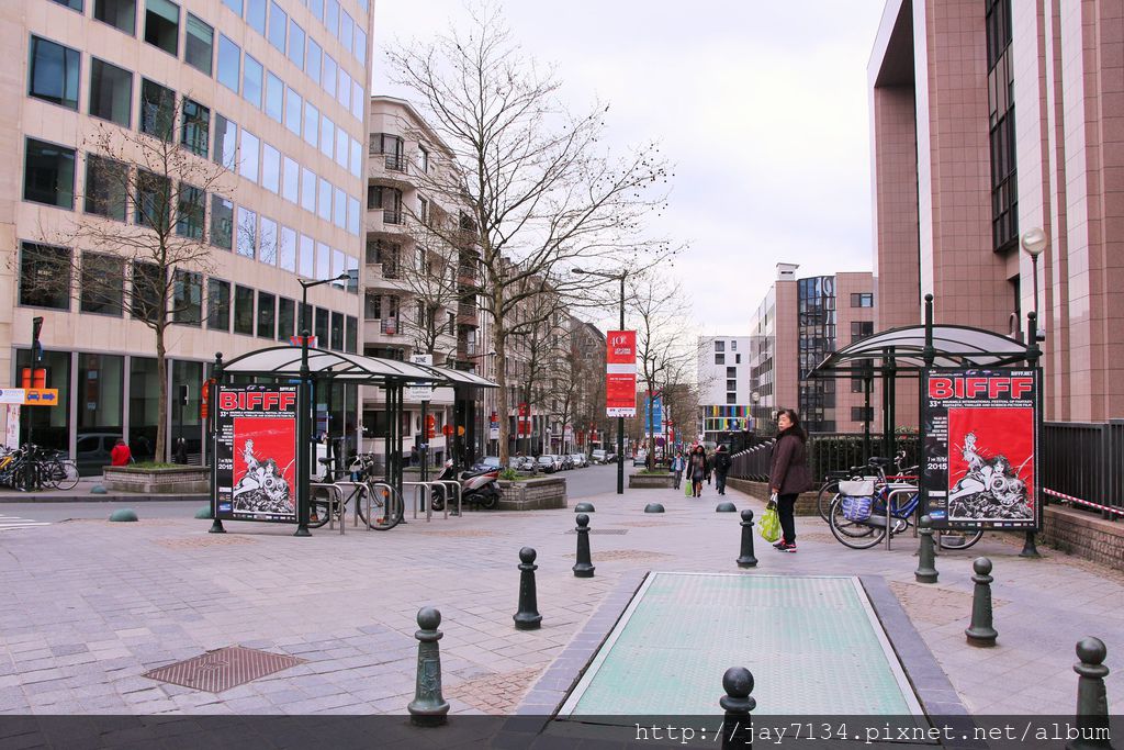 IMG_9529.JPG IMG_9529.JPG