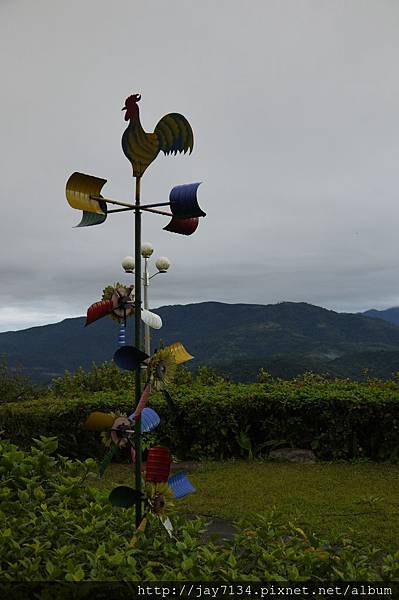 P1090460 P1090460