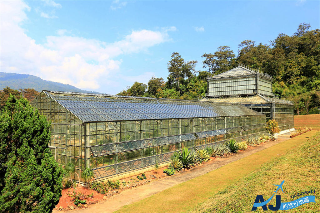 清邁自由行 詩麗吉皇后植物園 體驗森林裡的天空步道 清邁景點推薦 @AJ的旅行地圖