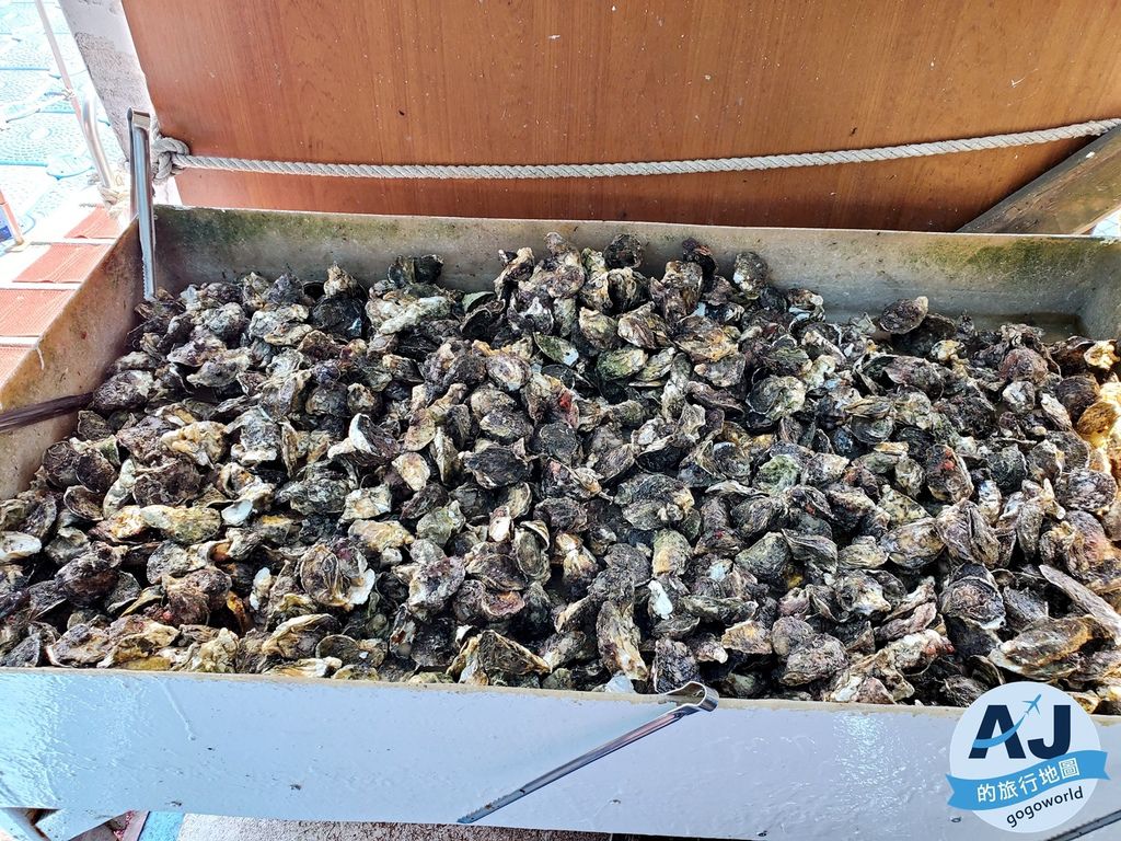 20190922_094746.jpg
