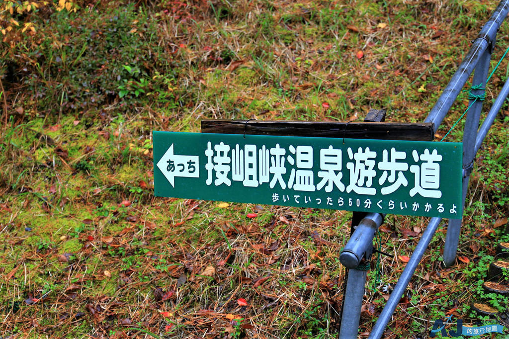 275.JPG 275.JPG