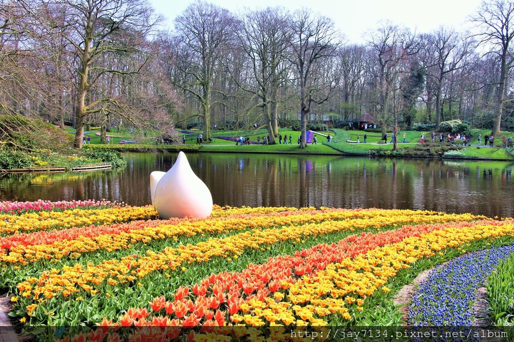荷蘭旅遊 庫肯霍夫公園 Keukenhof 世界最大鬱金香公園 @AJ的旅行地圖