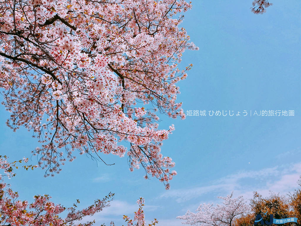 115.jpg 115.jpg