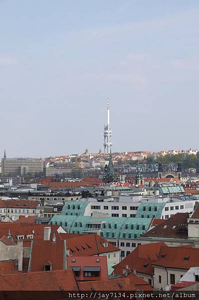 P1140407 P1140407
