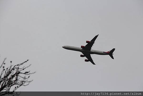 IMG_3347.JPG IMG_3347.JPG