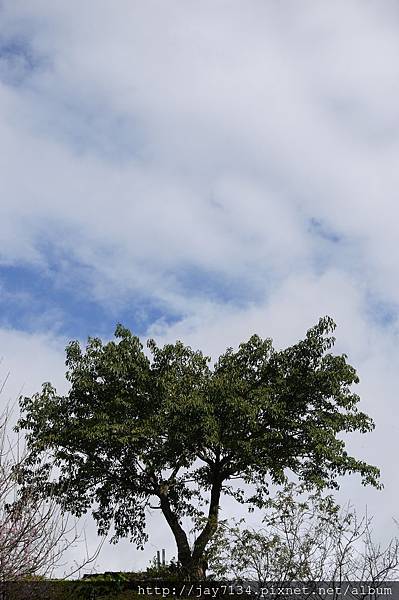 P1090540 P1090540